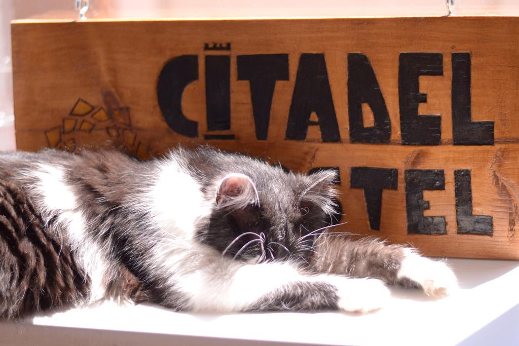 Citadel Hostel อัลบายูเลีย ภายนอก รูปภาพ